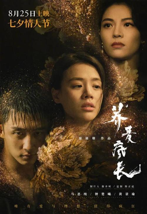 台湾致理科技大学本科毕业证